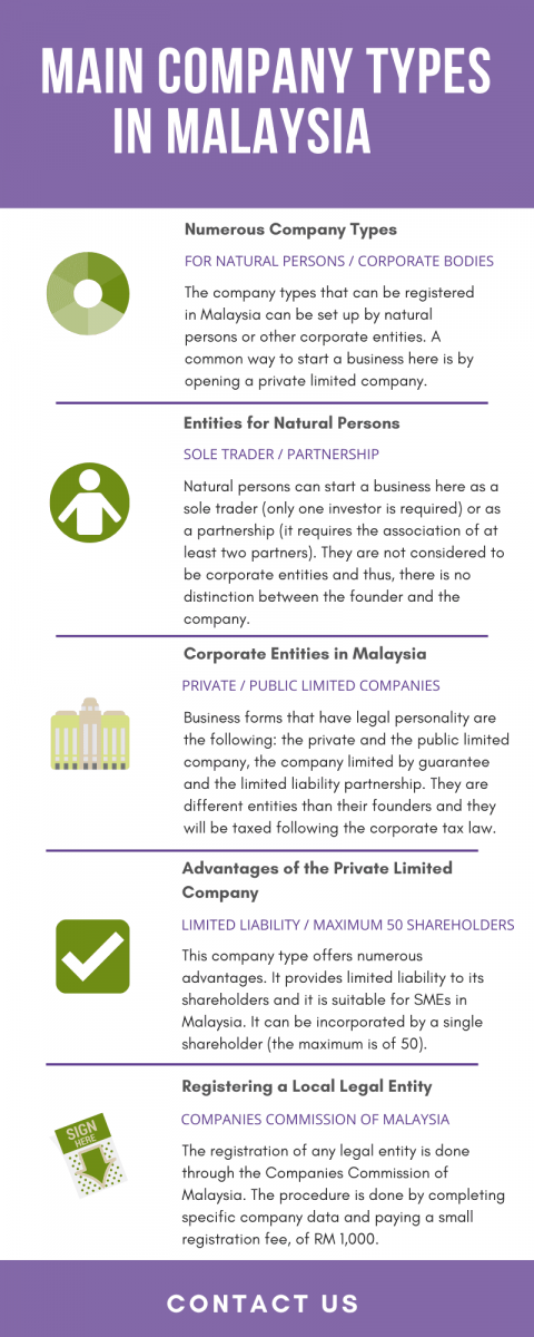 Main Company Types in Malaysia